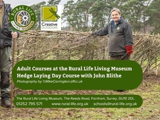 Adult Course - Hedge Laying